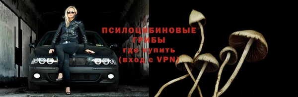 дживик Нефтекумск