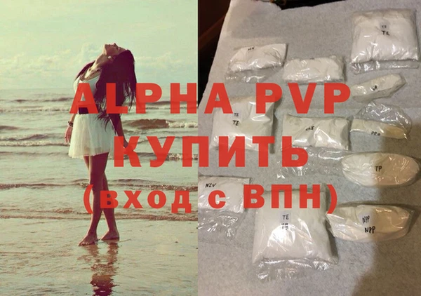 PSILOCYBIN Нефтегорск