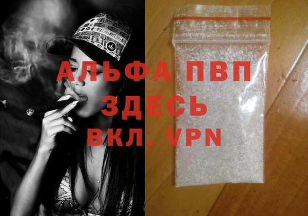 ПСИЛОЦИБИНОВЫЕ ГРИБЫ Новозыбков